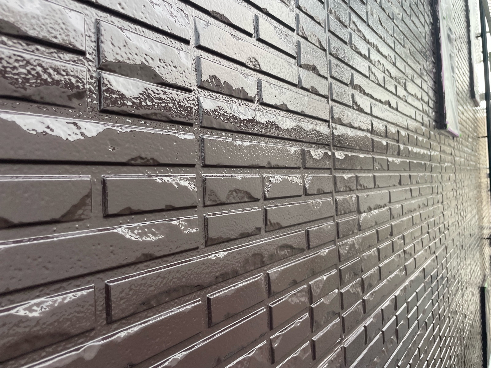 外壁中塗り塗装全体